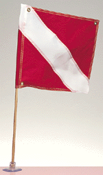 16539 kwik tek dive flag.gif